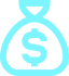 bolsa-dinero